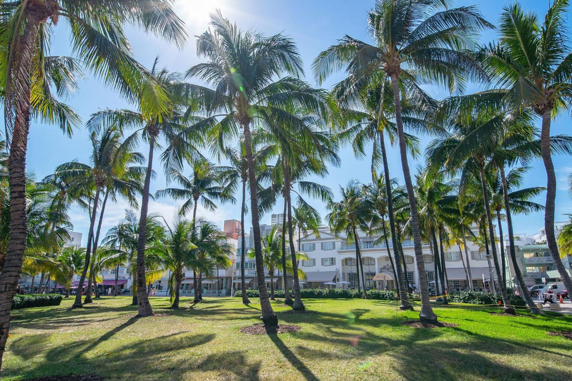 Chic Large Studio Apt Near Ocean Drive South Beach Miami Beach Kültér fotó